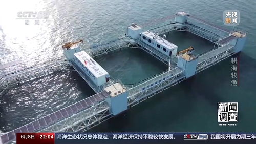 新聞?wù){(diào)查丨耕海牧漁 看海水養(yǎng)殖如何向深遠海探索